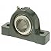 Dodge P2B-S2-315R?? Pillow Block, 2 Bolt Holes, Heavy-Duty, Relubricatable, Non-Expansion, Cast Iron, Springlok Collar, Steel Insert, Inch, 3-15/16" Bore Diameter