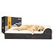 KOPEKS 7-inch Thick High Grade Orthopedic Memory Foam Dog Bed with Pillow and Easy to Wash Removable Cover with Anti-Slip Bottom. Free Waterproof Liner Included - Jumbo XL for Large Dogs - Plush