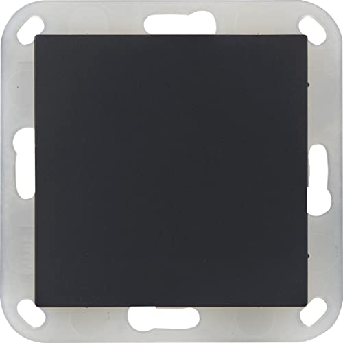OPUS® 55 Blind Cover with Plastic Carrying Ring, Colour: Anthracite, Silky Sheen, Anthracite - Silky Gloss