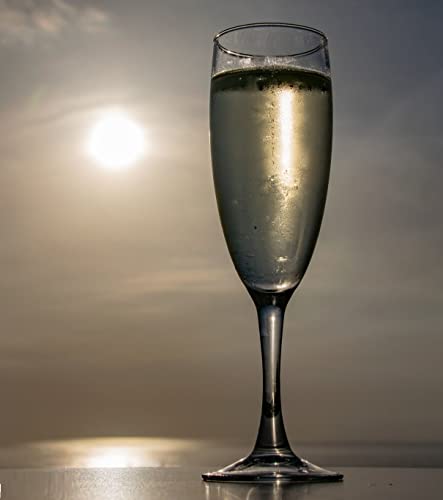 Ash & Roh® Stylish Wine,Compatible as Champagne Glass with Stem Stylish and Unique Wine, Long Champ 170 ML (2 Pack)