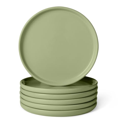 Amazon Basics Glazed Stoneware Dinner Plates, 6-Piece Set, Microwave and Dishwasher-Safe, 26.67cm, Olive