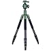 Produktbild Rollei Lion Rock Traveler M Green Edition, sehr hochwertiges Carbon Reise-Stativ mit 15 KG Tragkraft inkl. Stativkopf und Spikes. Ideal für Reise