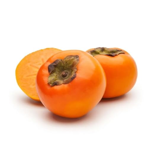 Muda de Caqui Fuyu Enxertado Para Produzir Mais Rápido