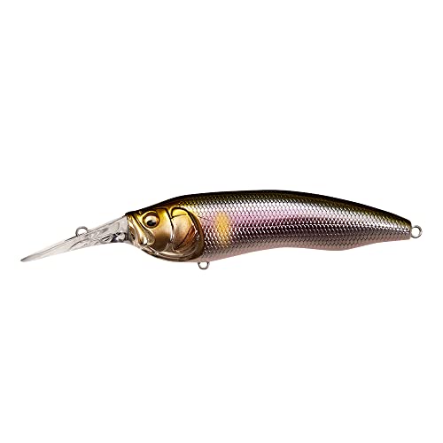 Amazon.co.jp: Megabass(メガバス): ダイビングミノー
