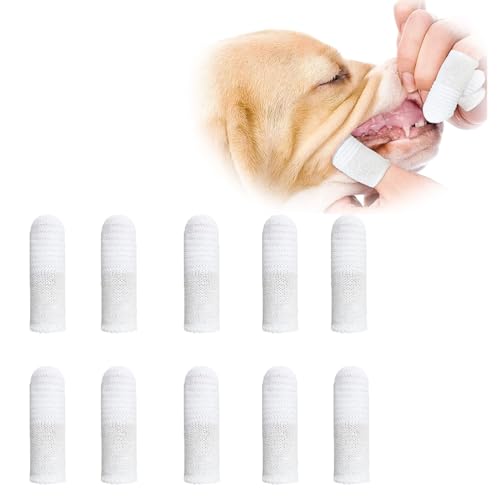 Spazzolino da Denti per Cani e Gatti, 360°, Set 10 pezzi