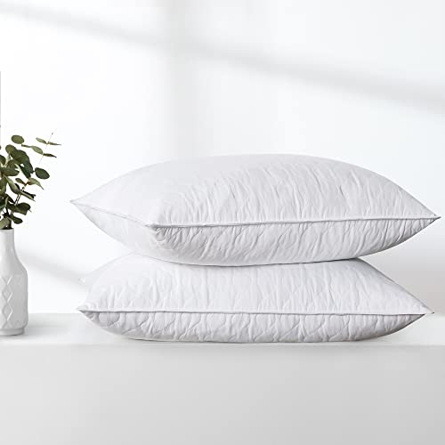Set 2 Almohadas de Pluma de Ganso 51x71 cm Blanco