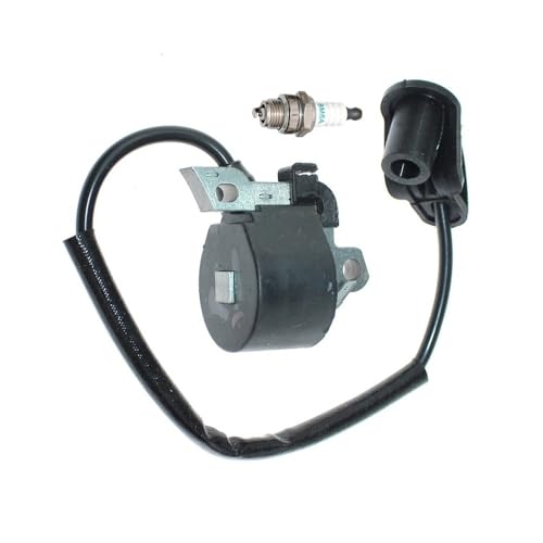 Bobine d'allumage FS450 pour l'entretien des terrains avec FS400 SP480