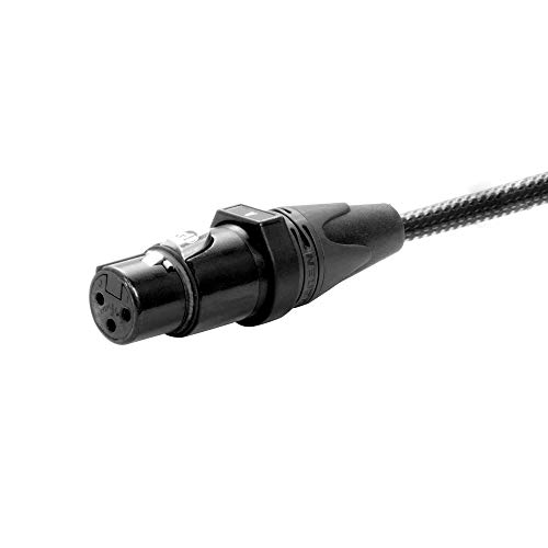 Elite Core Perseus PERS8-AMP-FI 8 CH 3' Amphenol MP-41 Multi-Pin to XLR Female Fan in