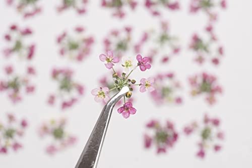 ԃu[P@Hׂ邨ԁ@B[K@GVJ@ȒPfR[V@ԁ@aP[L@o^C@v[g@Mtg@ACVONbL[@`R[g@hN@gbsO@hC@GfBut[yIZUMI YAMASAKI -Organi