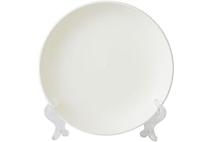 Plate Painting Kit for Creative Expressions