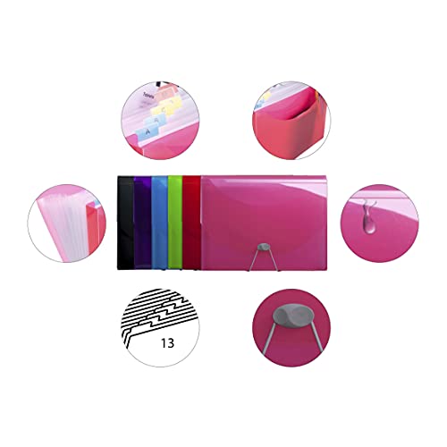 Exacompta 58770E Premium Kunststoff-Fächermappe Iderama mit Gummizugverschluss DIN A4 13 transparente Fächer, 1 Stück Zufallsfarbe