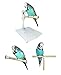 Bird Perch Bundle Window Shower Bird Perch, T Bird Perch Stand, Bird Cage Perch, Set of 3 Perches, 15mm Diameter, Small to Medium Birds.
