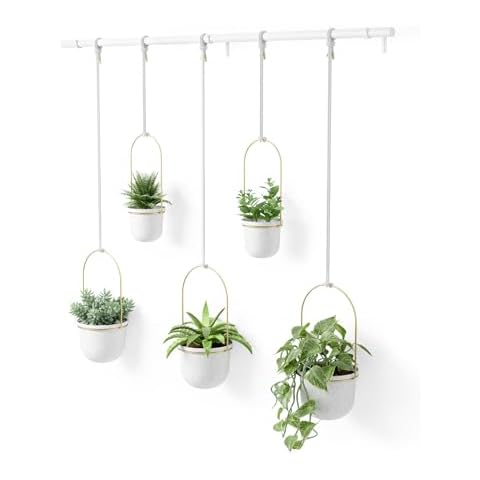 Umbra Triflora Hanging Planter Set Cover