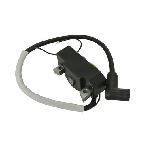 Módulo de bobina de encendido BS50-2 BS60-2 BS70-2 OEM 0154037 4