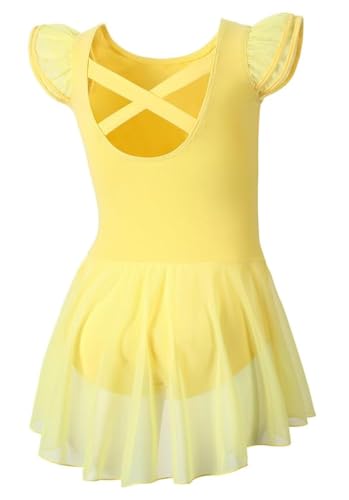 Image of DIPUG Ballet Leotards for Girls Ballet Leotard with Skirt Toddler Dance Leotards Flutter Sleeve and Criss-Cross Back