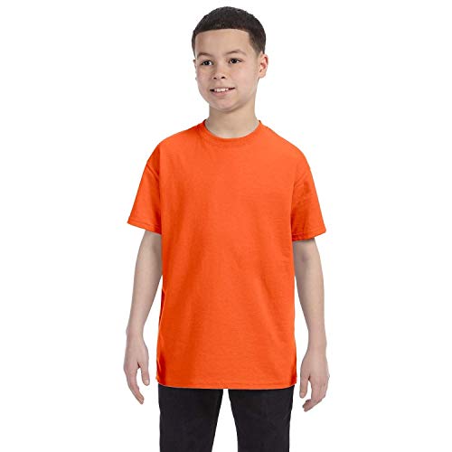 Image of Gildan Men's G500 T-Shirt