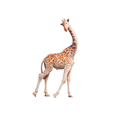 Amazon.co.jp: PNSO アフリカ動物園シリーズ ライオン 豹