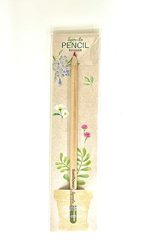 �X�v���E�g�y���V�� �肪�o�鉔�M �F���M(�Ђ܂��ySunflower�z�Ԑc)�ySDGs/�T�X�e�i�u����̌��ł��鉔�M�z�y�����i�z�y�A����q�^���u�����ρz