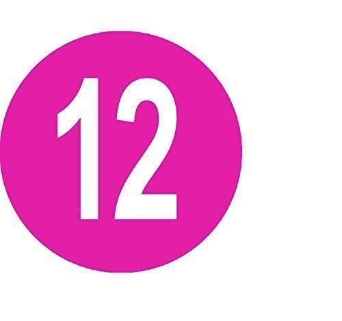 Pack of 100 Ladies Dress/Garment Size Stickers/Sticky Labels (Pink 12)