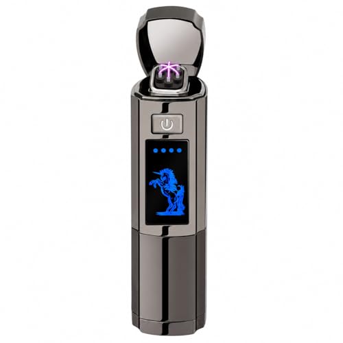 AngLink Lichtbogen Feuerzeug - Elektro-USB Aufladbar...
