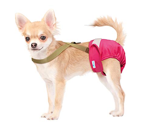 Image of PAW Inspired Dog Diaper Suspenders, Brown, X-Small /Small