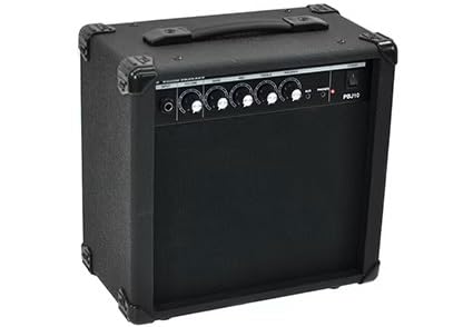 Amazon.co.jp: PLAYTECH (プレイテック) ベースコンポアンプ : 楽器