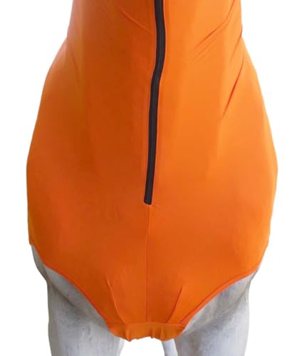 Image of CHALLENGER Large Horse Comfort Stretch Spandex Neck Hood Mane Stay Black