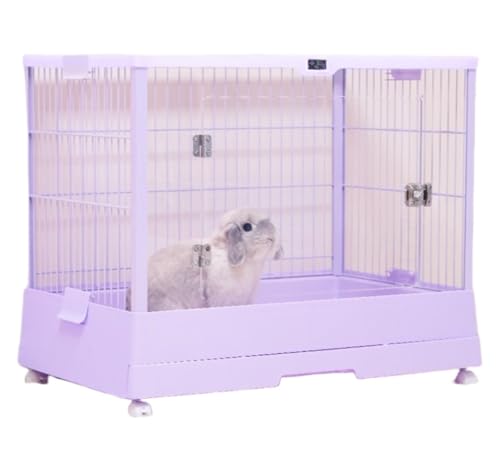 Diexgiy ANiP[W ETMP[W KȃXv[Ah~ETM̑ bg[ (ANP[WhA-p[v)