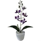 Planta de jazmín falsa en maceta decorativa para espacios interiores, sala de estar, dormitorio, mesa, arreglo floral (morado)
