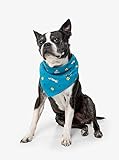 Insect Shield Repellant Dog Bandana for Protecting Dogs from Fleas, Ticks, and Mosquitoes, Ball & Squirrel, Teal, LP-1001-TEAL-1SZ