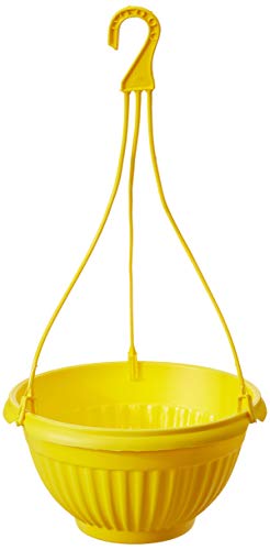Gardens Need 100% Virgin Plastic Daizy Hanging | Set of 4 Hanging Planter, (22cm x 22cm x 24cm, Yellow) (B08323QRJR) Amazon Price History, Amazon Price Tracker