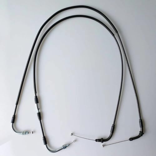 Motorcycle NEXYL HONDA DAX125p fAXbgP[u 10cmO {