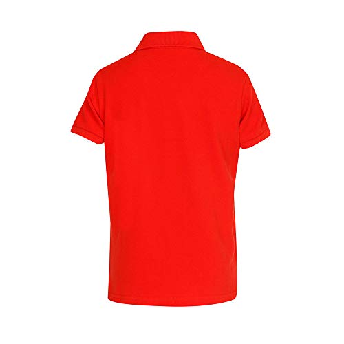 Image of U.S. Polo ASSN. Kids Polo T Shirt for Boys - 100% Cotton, Embroidered Logo, Short Sleeve, Boys Polo T Shirts