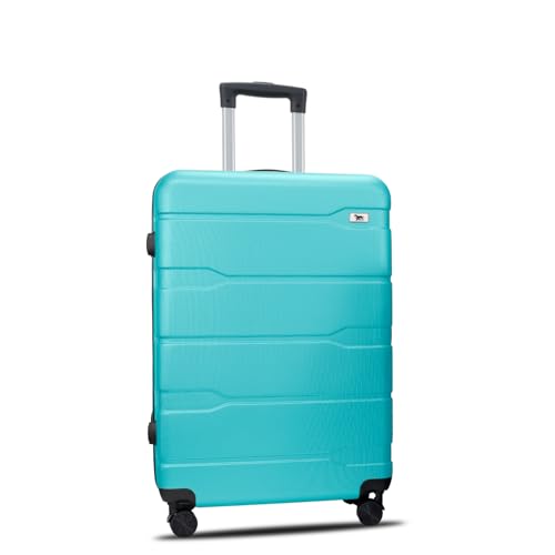 Mala De Despacho 24 Polegadas 23kg (Tiffany)