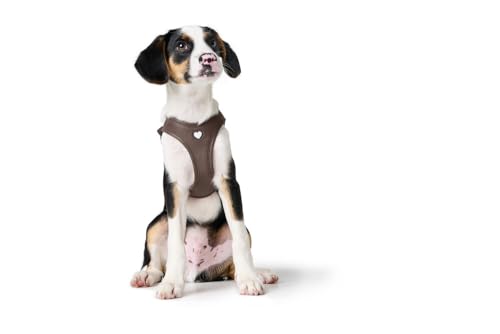 HUNTER Hundegeschirr Love, Farbe: braun, weiches Rindsleder, atmungsaktive Mesh-Polsterung, Herz handgenäht, hoher Komfort, Made in Germany, Größe: S