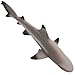 Safari Ltd Blacktip Reef Shark Figurine - Lifelike 5.75