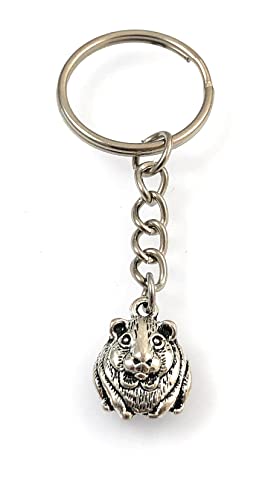 FizzyButton Gifts Guinea Pig Keyring Key Ring with Small Silver Tone Charm and Silver Tone Keychain