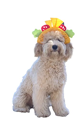 Taco Dog Costume for Small Medium and Large Dogs Puppies and Cats (Large, Yellow)