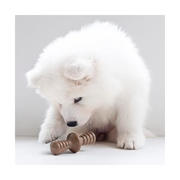 Benebone Holiday 4-Pack Durable Dog Chew Toys for Aggressive Chewers, Real Flavors, Made in USA, Puppy Benebone Holiday 4-Pack Durable Dog Chew Toys for Aggressive Chewers, Real Flavors, Made in USA, Puppy