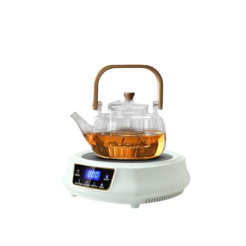 Aoyhome多機能電気ケトル、煮茶器、給湯器、110V 操作が簡単、家庭用湯沸かし器、耐高温、ストーブやセラミックストーブと互換性のある、、ティーポットなどに最適です 高効率 安全性 (ホワイト,C)