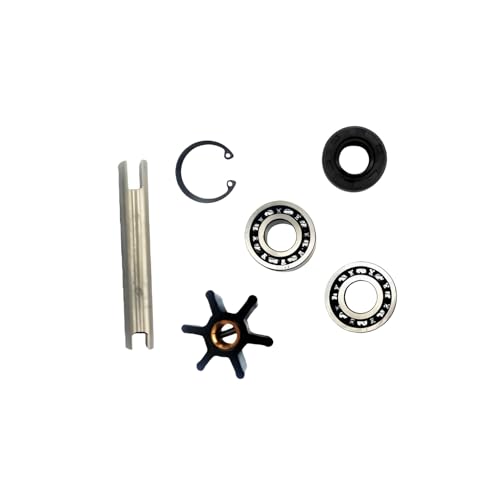 Kit réparation turbine 21951422 pour stopper les fuites de pompe Johnson 10-35015-1 et 10-35157-3