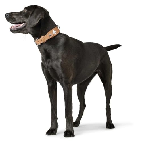 HUNTER Hundehalsband SWISS, Farbe: natur/beige, hochwertiges Rindsleder, handgenäht, schweizer Kreuz, elegantes Design, angenehm weich, komfortabel, langlebig, Made in Germany, Größe: 37