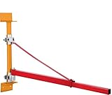 OI Brazo de soporte de polipasto, 600/300 kg de soporte de polipasto eléctrico de soporte de polipasto eléctrico brazo de elevación de brazo de elevación eléctrico giratorio brazo de elevación