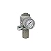 PneumaticPlus SAR2000M-N02BG Miniature Air Pressure Regulator 1/4