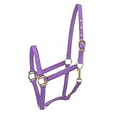 Gatsby Classic Nylon Halter w/Snap - Purple Horse