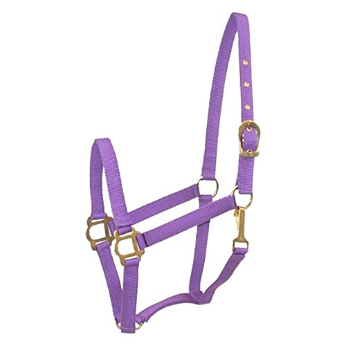 Gatsby Classic Nylon Halter w/Snap - Purple Horse