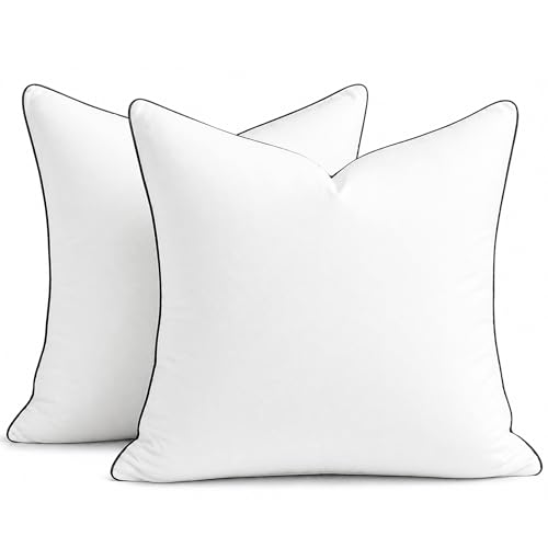 puredown® 20x20 Pillow Inserts Set of 2, Fluffy...
