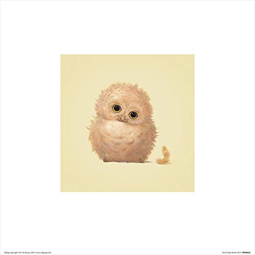 Il Gruppo Art John Butler Owl - Stampa Artistica 30 x 30 cm Carta Multicolore 30 x 30 x 1.3 cm