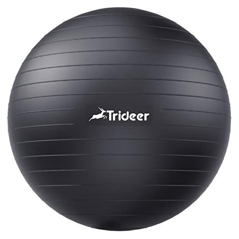 Trideer Extra Thick Yoga Ball Exercise Ball Cover