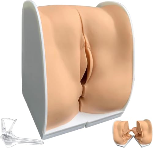 UIGJIOG Menschliche Gebärmutter Eierstock Harnblasenmodell Weibliche Spirale Trainingsmodell Anatomische Gynäkologie Weibliches Modell für Fortpflanzungsorgane